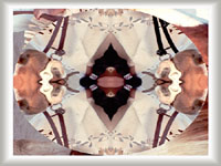 screensavers graphics art gallery image