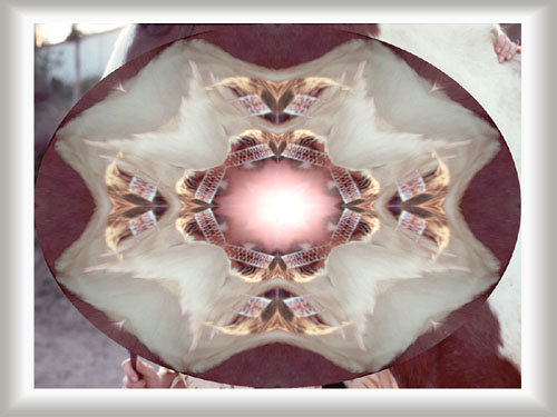 abstract screen saver image