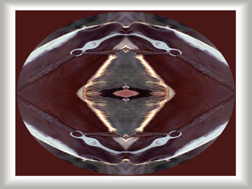 abstract screen saver image