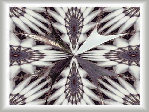 abstract screen saver image